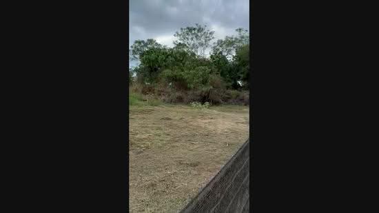 Commercial Land for Sale in Bandar Baru Salak Tinggi (Sepang) - Norisma Hartanah - PropertyGuru.com.my