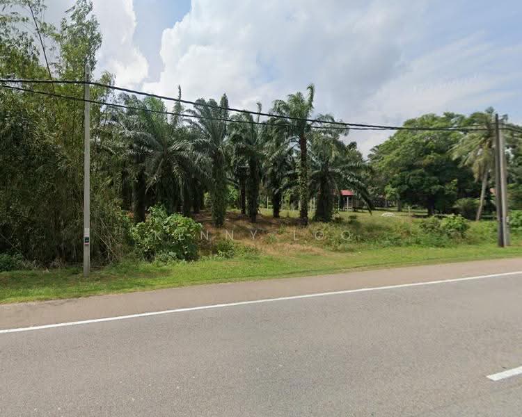 Agricultural Land for Sale in Rompin (Pahang) - Kenny Loo - Exterior - PropertyGuru.com.my