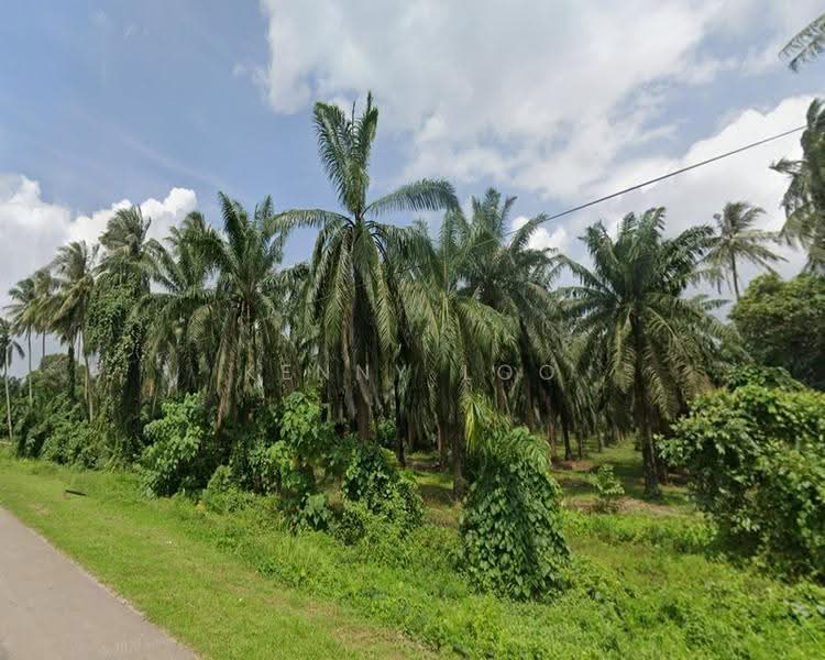 Agricultural Land for Sale in Rompin (Pahang) - Kenny Loo - Exterior - PropertyGuru.com.my
