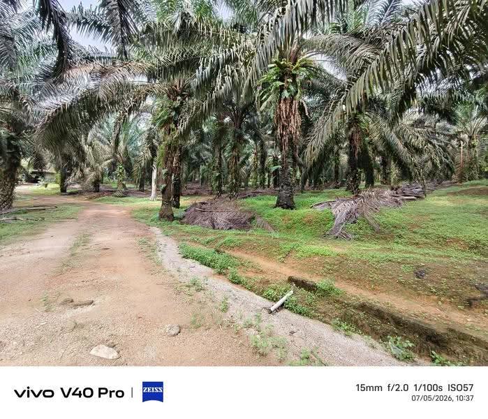 Tanah Pertanian untuk Dijual di Kota Tinggi (Johor) - K S Ong - Exterior - PropertyGuru.com.my