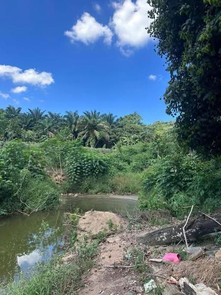 Tanah Pertanian untuk Dijual di Ulu Tiram (Johor) - Kym Kee - Exterior - PropertyGuru.com.my