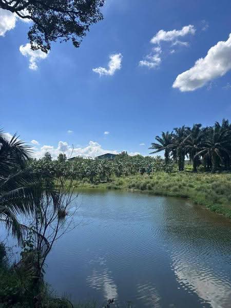 Tanah Pertanian untuk Dijual di Ulu Tiram (Johor) - Kym Kee - Exterior - PropertyGuru.com.my