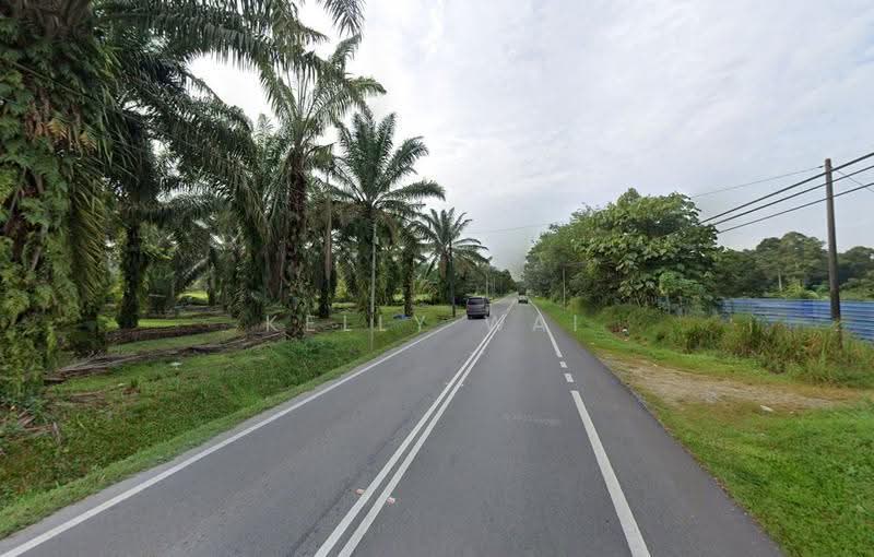 Agricultural Land for Sale in Pekan Nanas (Johor) - Kelly Wai - PropertyGuru.com.my