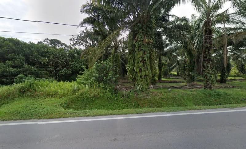 Agricultural Land for Sale in Pekan Nanas (Johor) - Kelly Wai - Exterior - PropertyGuru.com.my