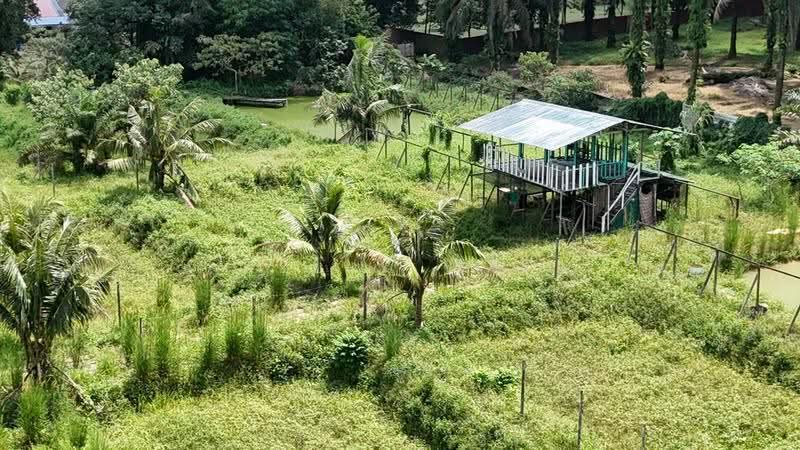 Agricultural Land for Sale in Pekan Nanas (Johor) - Kelly Wai - Exterior - PropertyGuru.com.my