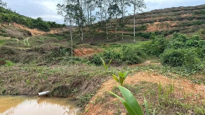 Tanah Pertanian untuk Dijual di Benta (Pahang) - Alvin Seah - Exterior - PropertyGuru.com.my