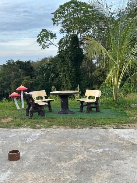 Tanah Pertanian untuk Dijual di Benta (Pahang) - Alvin Seah - Exterior - PropertyGuru.com.my