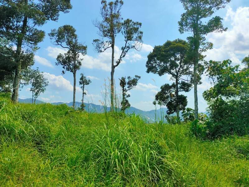 Agricultural Land for Sale in Hulu Langat (Selangor) - Hafiz Isa - Exterior - PropertyGuru.com.my