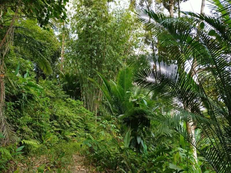 Agricultural Land for Sale in Hulu Langat (Selangor) - Hafiz Isa - PropertyGuru.com.my