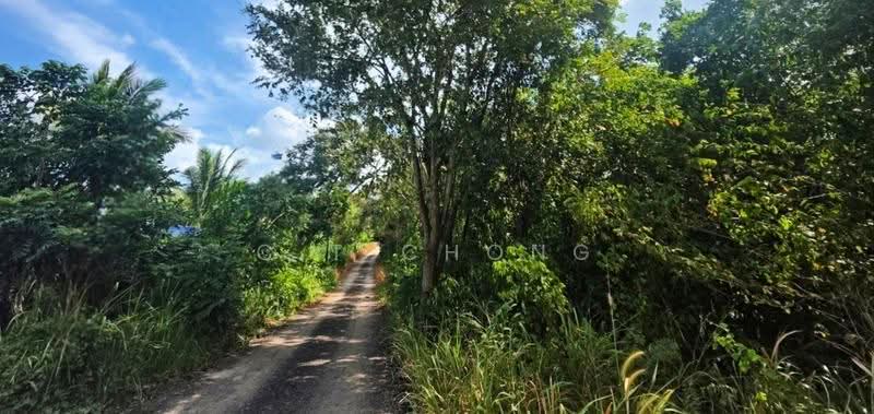 Industrial Land for Sale in Taman Desa Cemerlang (Batu Pahat) - C.T Chong - Exterior - PropertyGuru.com.my