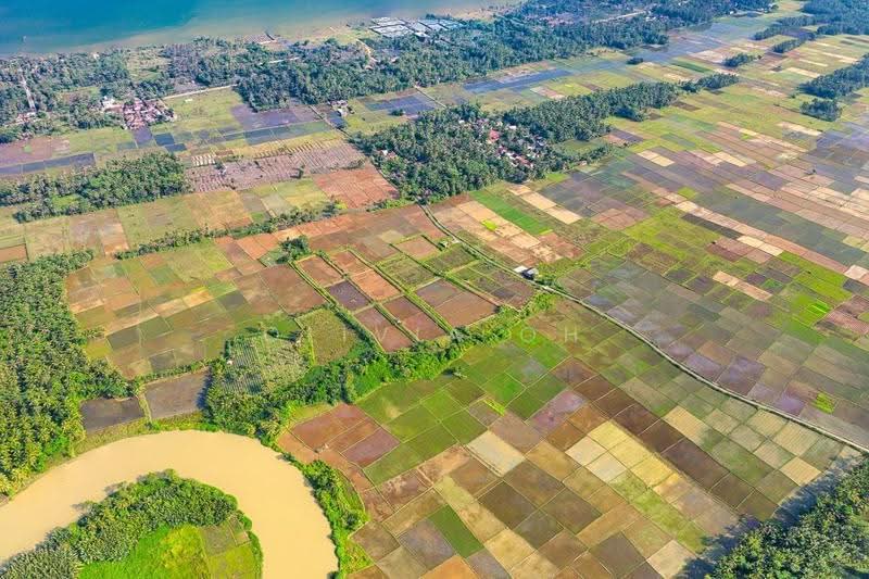 Industrial Land for Sale in Pajam (Mantin) - OLIVIA OH - PropertyGuru.com.my