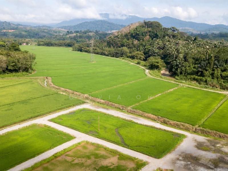 Industrial Land for Sale in Pajam (Mantin) - OLIVIA OH - PropertyGuru.com.my
