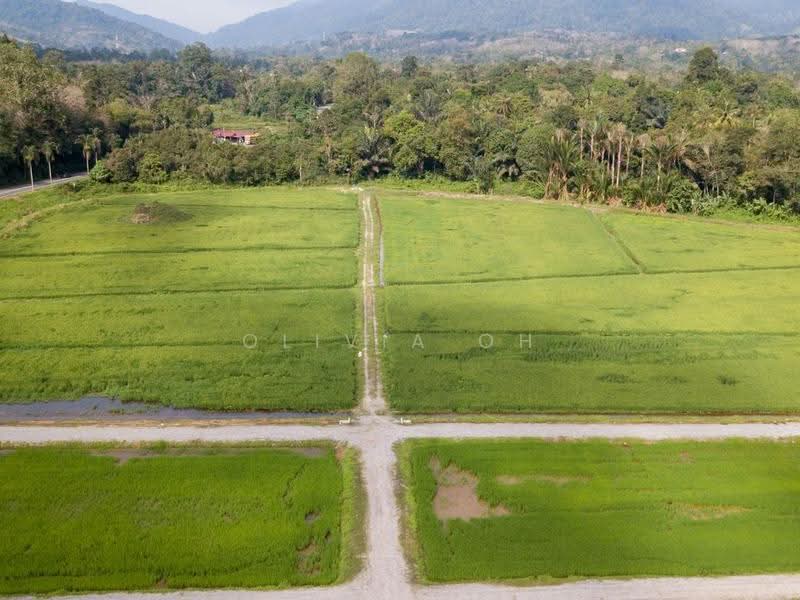 Industrial Land for Sale in Pajam (Mantin) - OLIVIA OH - PropertyGuru.com.my