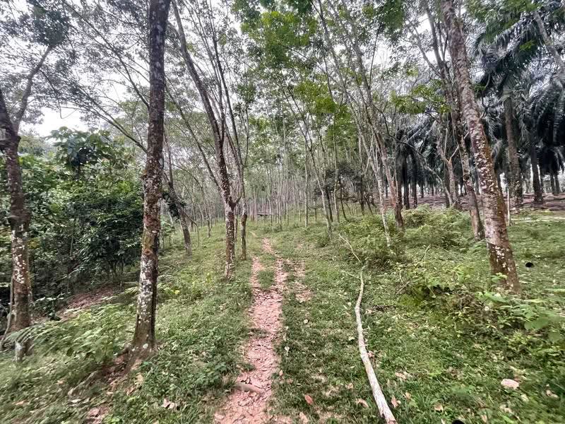 Agricultural Land for Sale in Kuala Sawah (Seremban) - OLIVIA OH - PropertyGuru.com.my