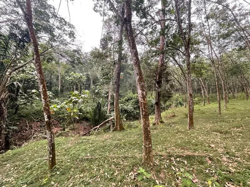 Agricultural Land for Sale in Kuala Sawah (Seremban) - OLIVIA OH - PropertyGuru.com.my