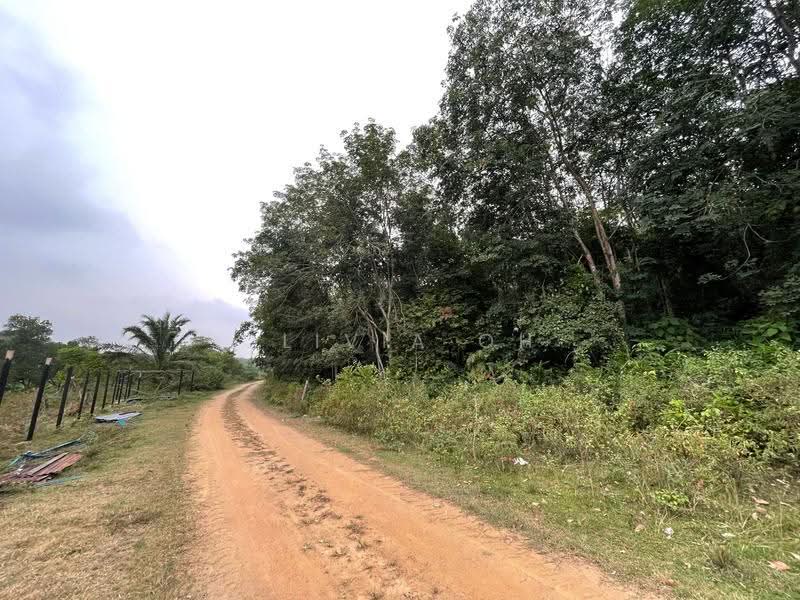 Agricultural Land for Sale in Kuala Sawah (Seremban) - OLIVIA OH - PropertyGuru.com.my