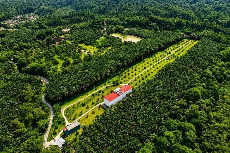 Agricultural Land for Sale in Chenderiang (Perak) - David Wong - Exterior - PropertyGuru.com.my