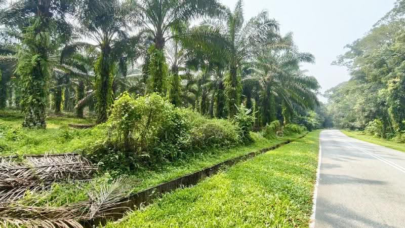 Agricultural Land for Sale in Chenderiang (Perak) - David Wong - PropertyGuru.com.my
