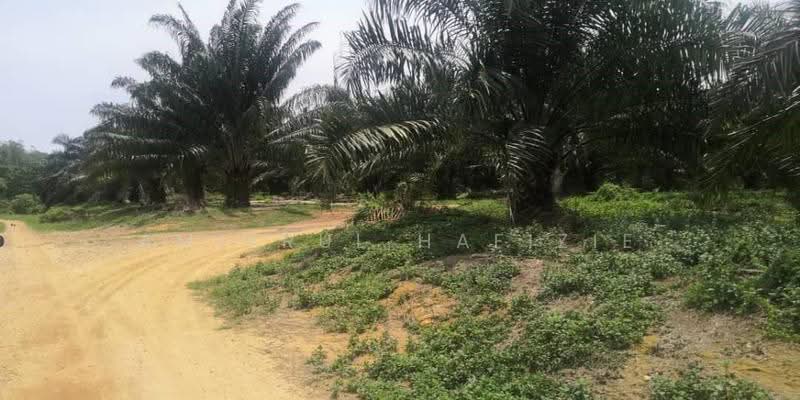 Agricultural Land for Sale in Port Dickson (Negeri Sembilan) - Amierul Hafizie - Exterior - PropertyGuru.com.my