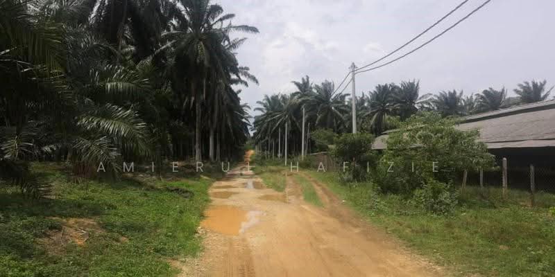 Agricultural Land for Sale in Port Dickson (Negeri Sembilan) - Amierul Hafizie - Exterior - PropertyGuru.com.my