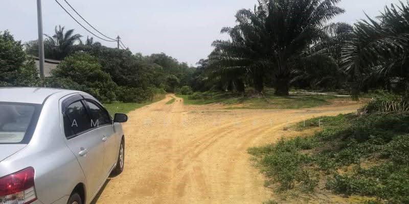 Agricultural Land for Sale in Port Dickson (Negeri Sembilan) - Amierul Hafizie - Exterior - PropertyGuru.com.my