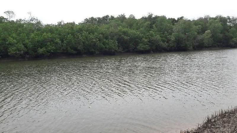 Agricultural Land for Sale in Port Dickson (Negeri Sembilan) - Amierul Hafizie - Exterior - PropertyGuru.com.my