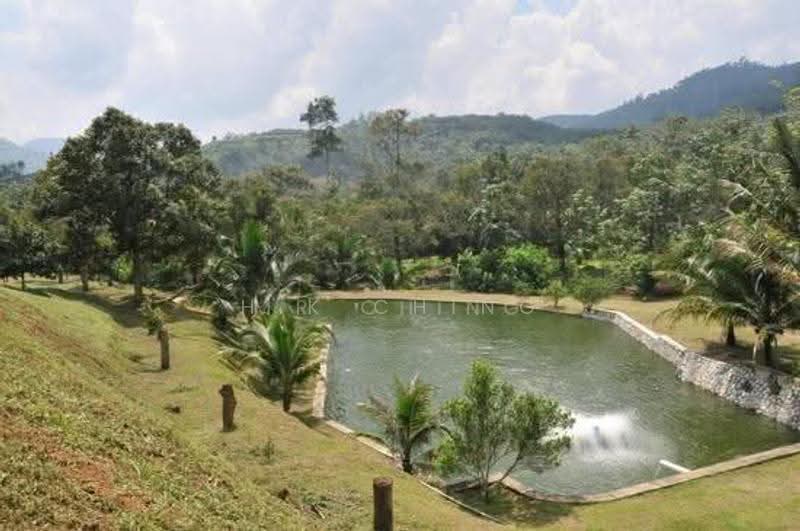 Tanah Pertanian untuk Dijual di Bandar Raub Perdana (Raub) - H.K Ching - Garden - PropertyGuru.com.my