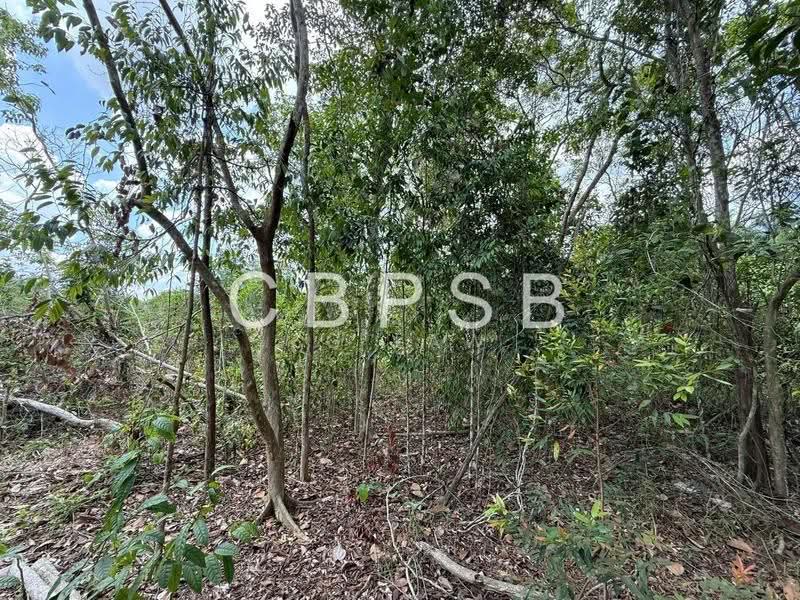 Tanah Perindustrian untuk Dijual di Tongkang Pechah (Batu Pahat) - ZG Law - Exterior - PropertyGuru.com.my