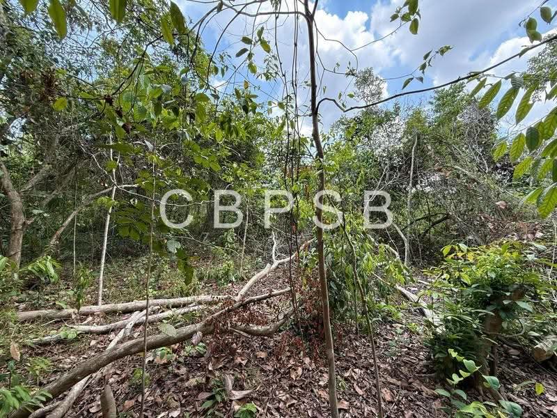 Tanah Perindustrian untuk Dijual di Tongkang Pechah (Batu Pahat) - ZG Law - Exterior - PropertyGuru.com.my