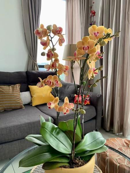 Service Residence for Sale at Nadi Bangsar - David Wong - Living Room - PropertyGuru.com.my