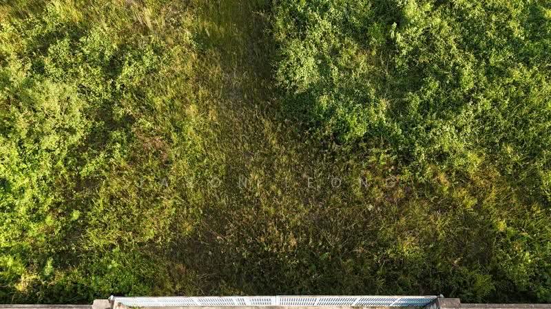Industrial Land for Sale in Chemor (Perak) - Jason Leong - Exterior - PropertyGuru.com.my