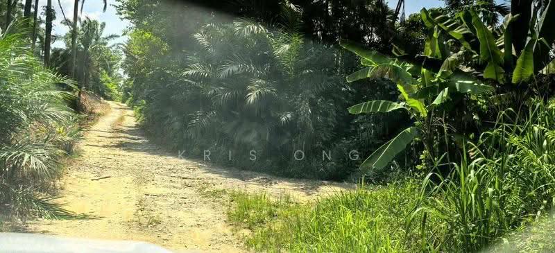 Tanah Pertanian untuk Dijual di Kampung Baru Ban Foo (Ulu Tiram) - Kris Ong - Exterior - PropertyGuru.com.my