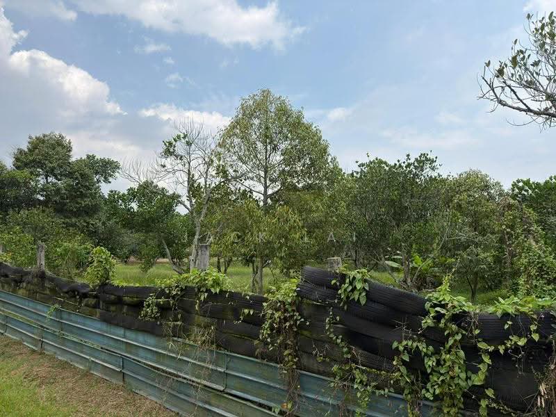 Agricultural Land for Sale in Shah Alam (Selangor) - Jack Lai - Exterior - PropertyGuru.com.my