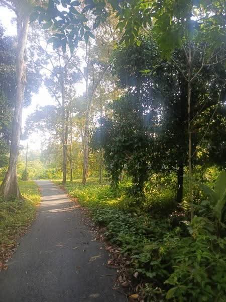Tanah Pertanian untuk Dijual di Lenggeng (Negeri Sembilan) - Mohd Faizal - Garden - PropertyGuru.com.my