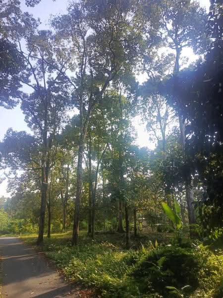 Tanah Pertanian untuk Dijual di Lenggeng (Negeri Sembilan) - Mohd Faizal - Exterior - PropertyGuru.com.my