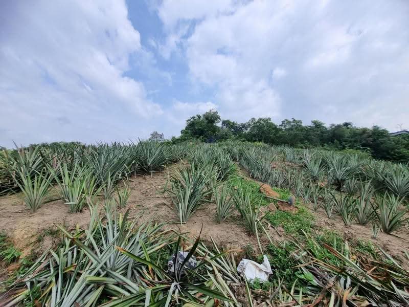 Agricultural Land for Sale in Puncak Alam (Selangor) - Siti Hajar - Exterior - PropertyGuru.com.my