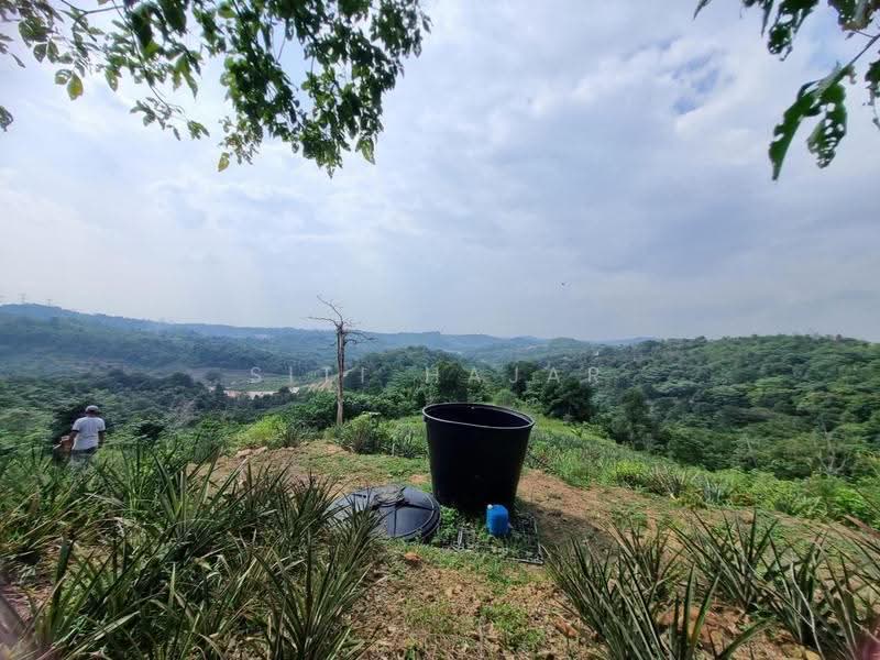 Agricultural Land for Sale in Puncak Alam (Selangor) - Siti Hajar - Exterior - PropertyGuru.com.my