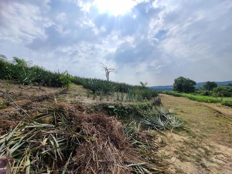 Agricultural Land for Sale in Puncak Alam (Selangor) - Siti Hajar - Garden - PropertyGuru.com.my