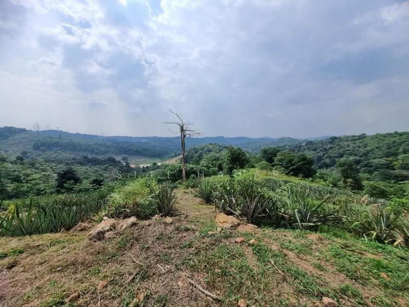 Agricultural Land for Sale in Puncak Alam (Selangor) - Siti Hajar - Exterior - PropertyGuru.com.my