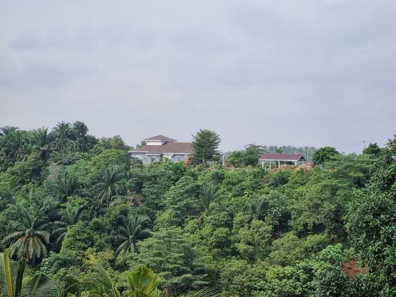 Agricultural Land for Sale in Puncak Alam (Selangor) - Siti Hajar - Exterior - PropertyGuru.com.my