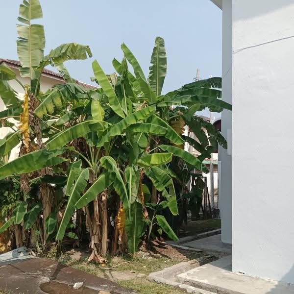 2-storey Terraced House for Rent in Alam Perdana (Puncak Alam) - Lynn Yap - Exterior - PropertyGuru.com.my