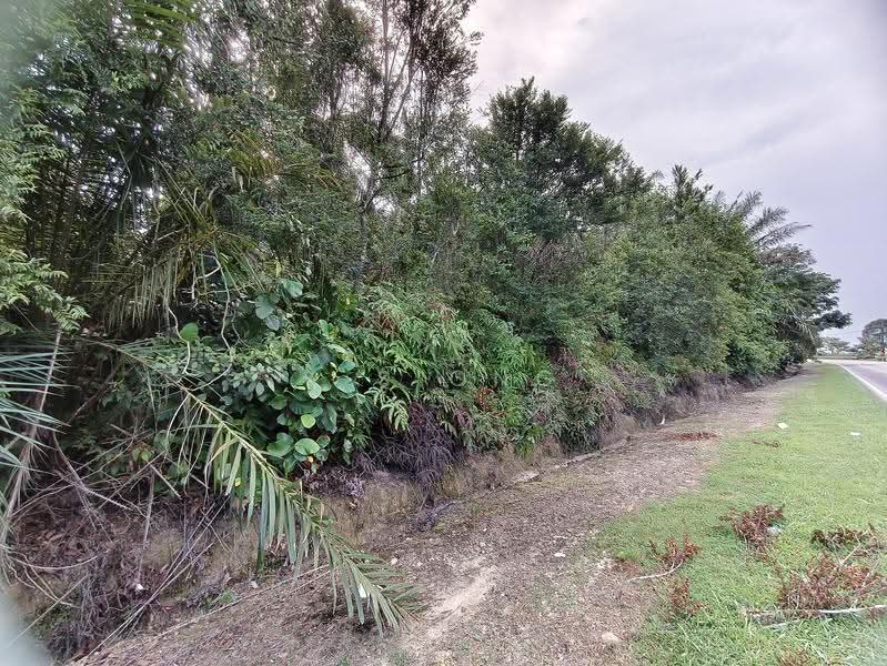 Tanah Pertanian untuk Dijual di Johor Bahru (Johor) - K S Ong - PropertyGuru.com.my