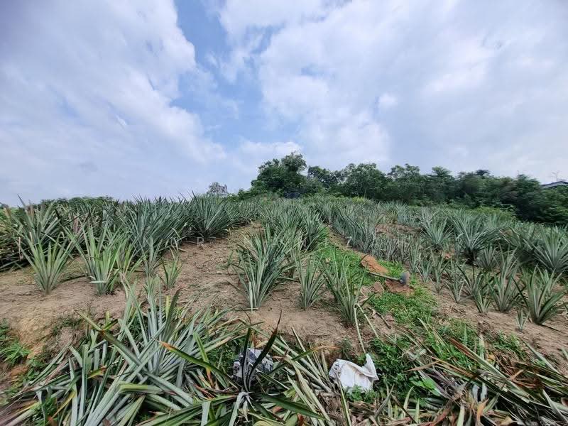 Agricultural Land for Sale in Kampung Bukit Cherakah (Shah Alam) - Nur Hanizah - PropertyGuru.com.my