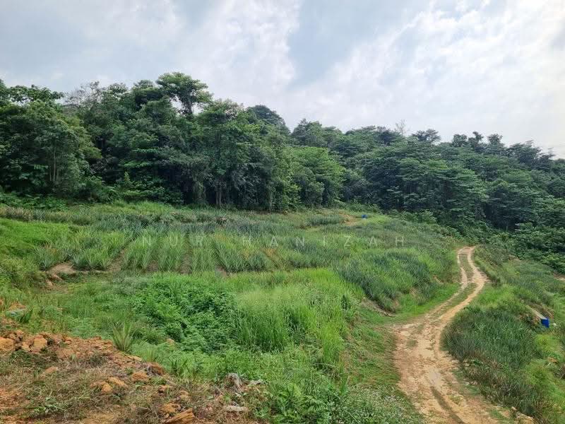 Agricultural Land for Sale in Kampung Bukit Cherakah (Shah Alam) - Nur Hanizah - PropertyGuru.com.my