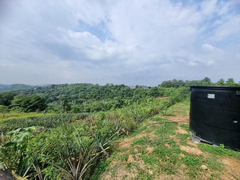 Agricultural Land for Sale in Kampung Bukit Cherakah (Shah Alam) - Nur Hanizah - PropertyGuru.com.my