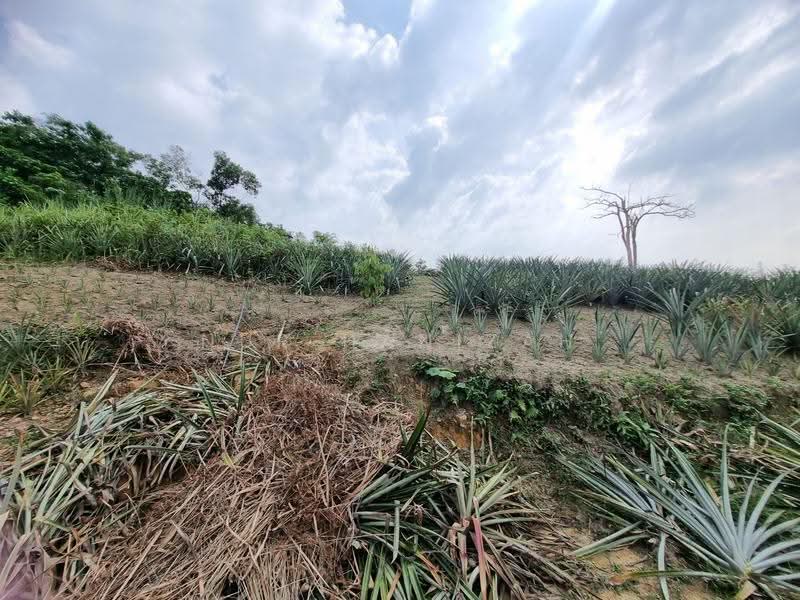 Agricultural Land for Sale in Kampung Bukit Cherakah (Shah Alam) - Nur Hanizah - PropertyGuru.com.my