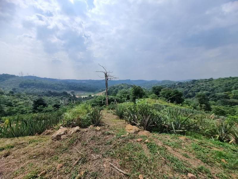 Agricultural Land for Sale in Kampung Bukit Cherakah (Shah Alam) - Nur Hanizah - PropertyGuru.com.my
