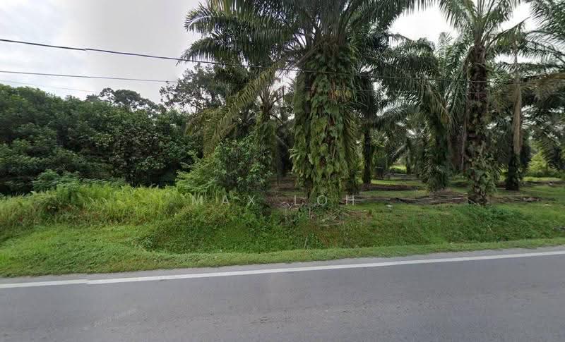 Tanah Pertanian untuk Dijual di Pekan Nanas (Johor) - Max Loh - Exterior - PropertyGuru.com.my