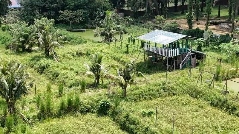 Tanah Pertanian untuk Dijual di Pekan Nanas (Johor) - Max Loh - Exterior - PropertyGuru.com.my