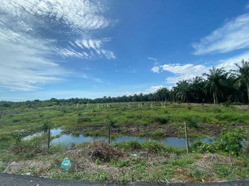 Agricultural Land for Sale in Benut (Johor) - Teik Shen - Exterior - PropertyGuru.com.my